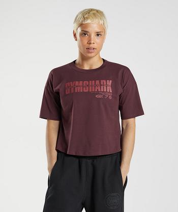 Dámské Oříznuté Topy Gymshark Gs10 Year Midi Vínové | CZ 3676VRW